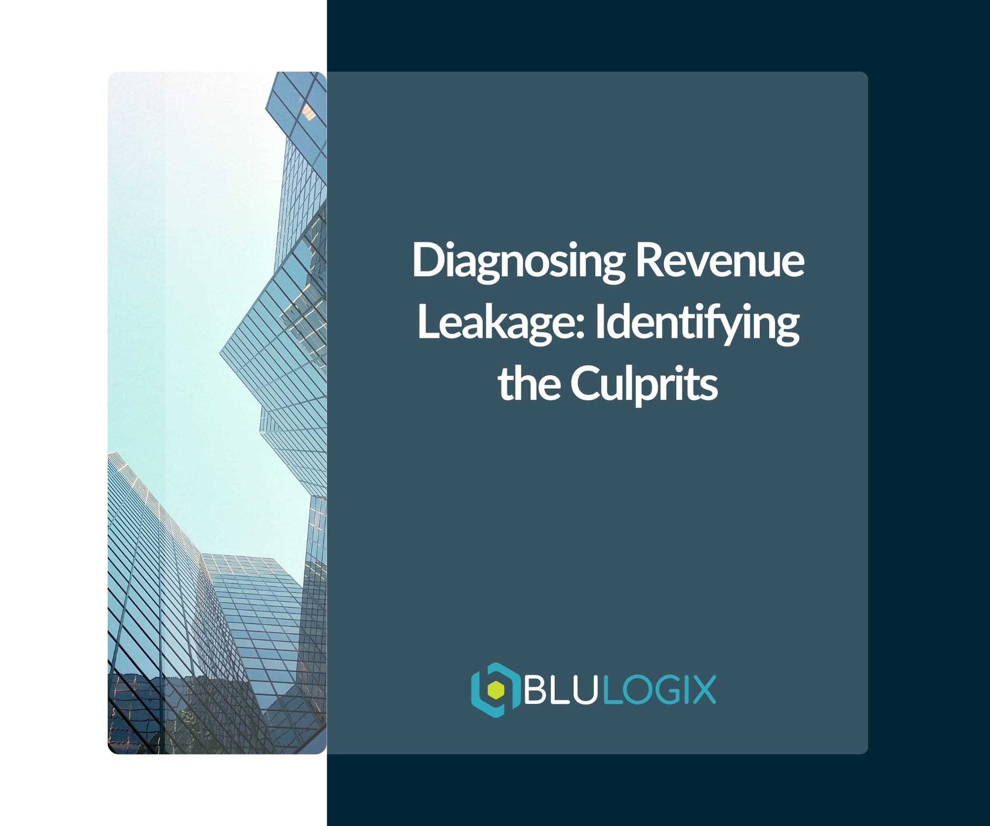 Diagnosing Revenue Leakage Identifying the Culprits