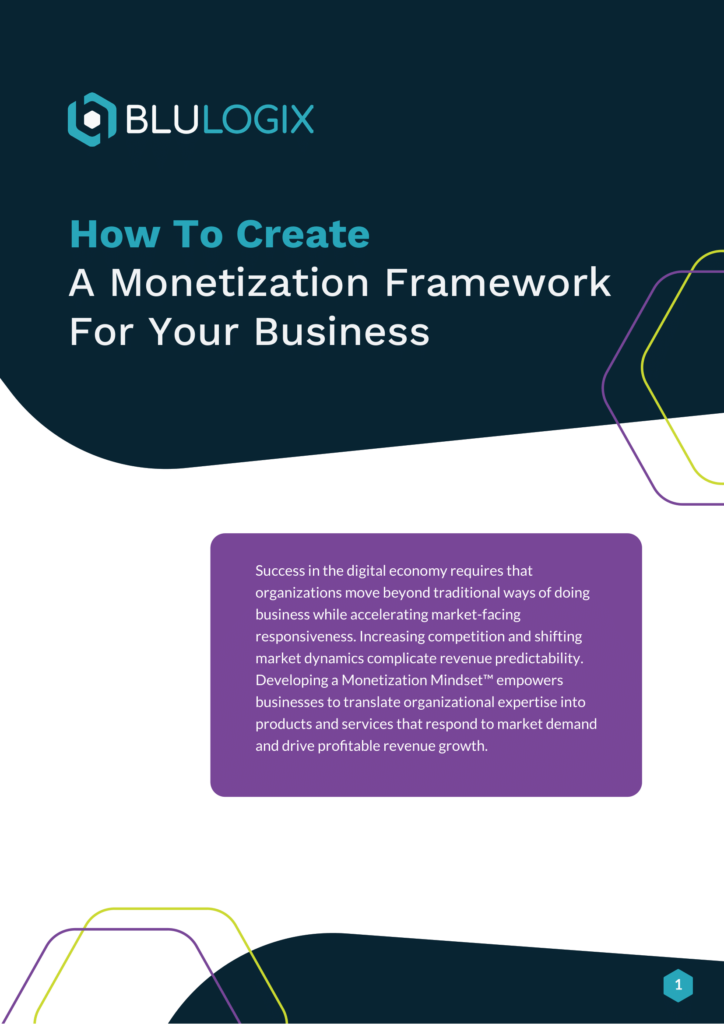 How to Create a Monetization Framework for Your Business BluLogix 01