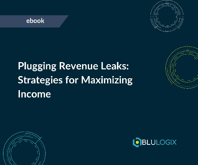 Plugging Revenue Leaks: Strategies for Maximizing Income